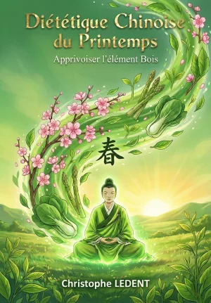 couvprintempsgemini_PhdyoWxUtest Diététique Chinoise du Printemps